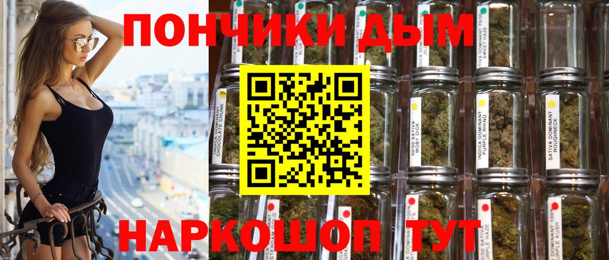 Каннабис планчик  Шишки марихуана тримм  Вход с VPN  Петрозаводск  Марихуана гибрид 